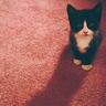 医院回应男子献血十年用博爱卡遇阻